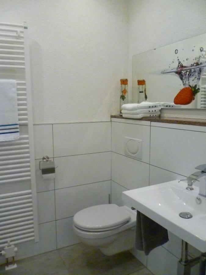 Moderne Wohnung In Barockem Altstadthaus Nahe Altstadt Und Radweg Blieskastel Esterno foto