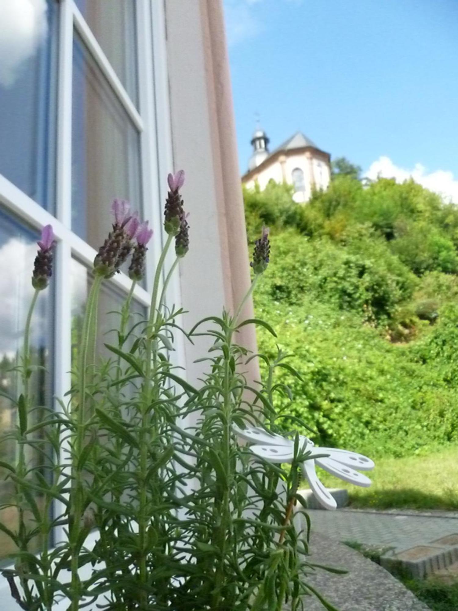 Moderne Wohnung In Barockem Altstadthaus Nahe Altstadt Und Radweg Blieskastel Esterno foto