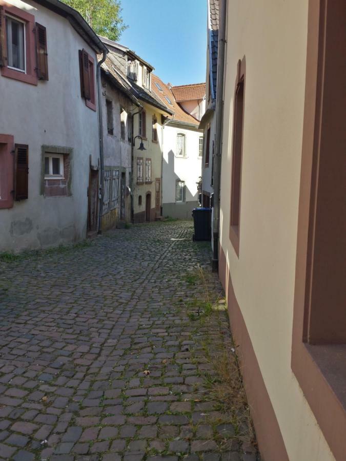 Moderne Wohnung In Barockem Altstadthaus Nahe Altstadt Und Radweg Blieskastel Esterno foto