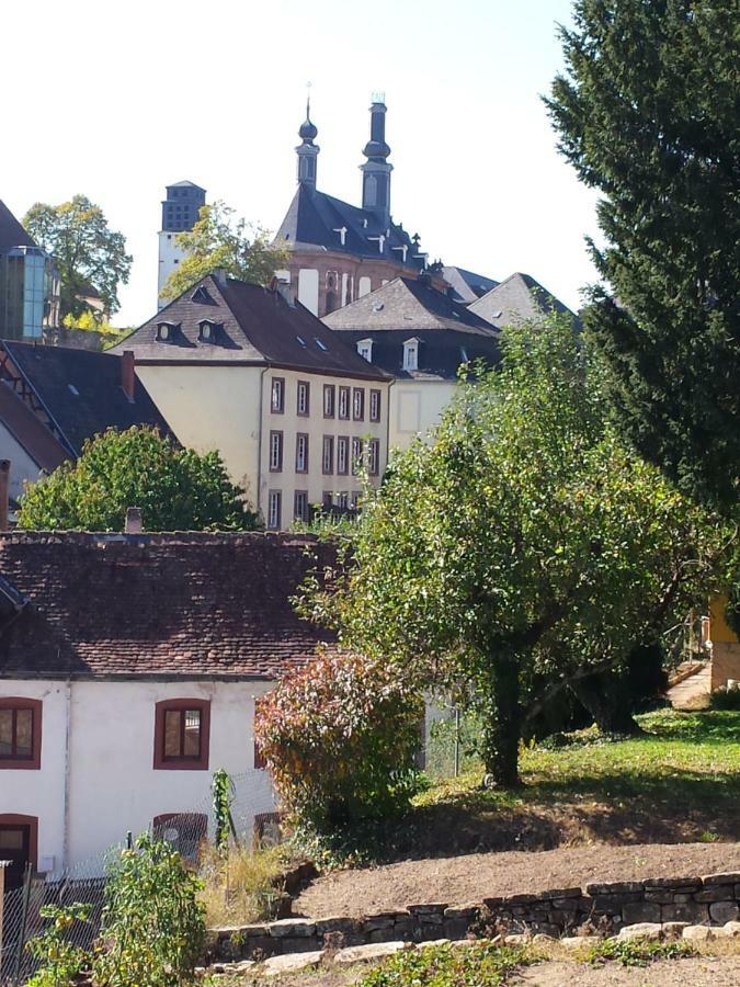 Moderne Wohnung In Barockem Altstadthaus Nahe Altstadt Und Radweg Blieskastel Esterno foto