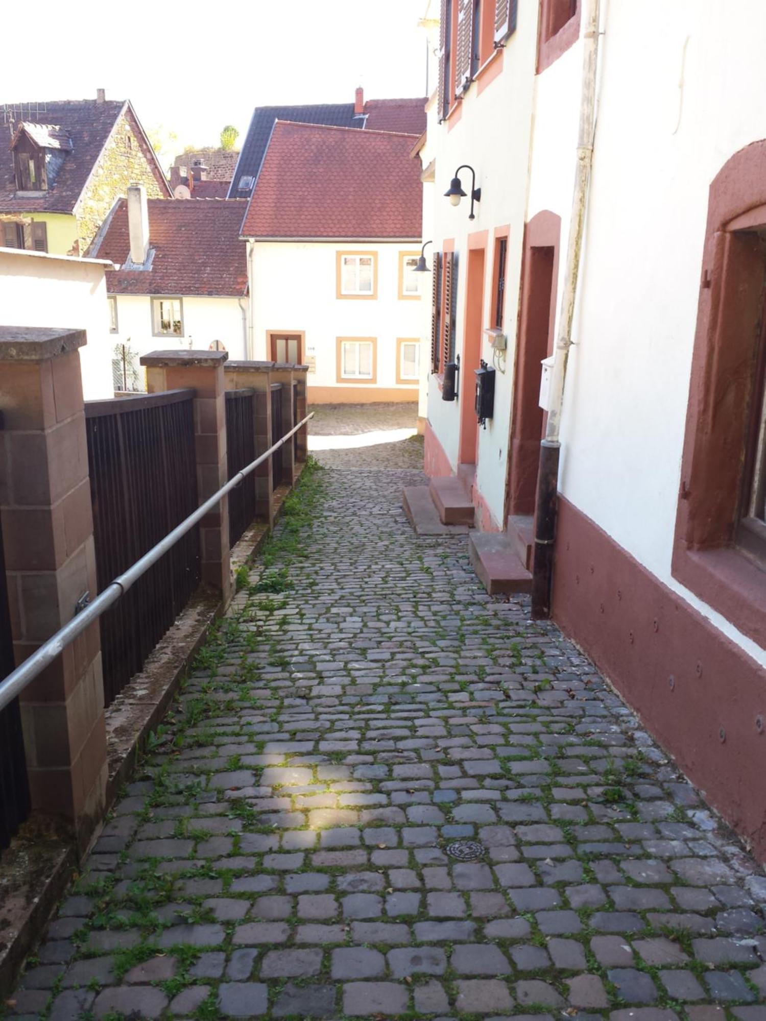 Moderne Wohnung In Barockem Altstadthaus Nahe Altstadt Und Radweg Blieskastel Esterno foto
