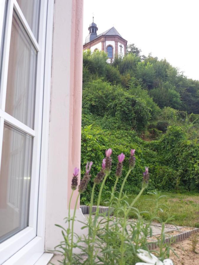 Moderne Wohnung In Barockem Altstadthaus Nahe Altstadt Und Radweg Blieskastel Esterno foto